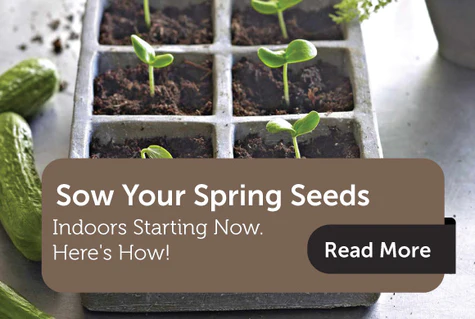 Sowing Your Seeds This Spring