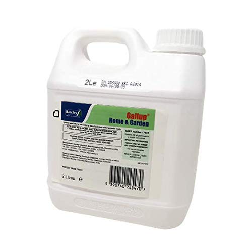 Gallup Home & Garden 2lt