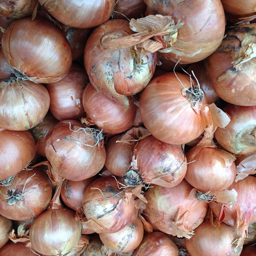 Shallot Onions Red 500G
